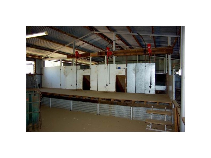 574 Millpulling Road, Balladoran NSW 2831