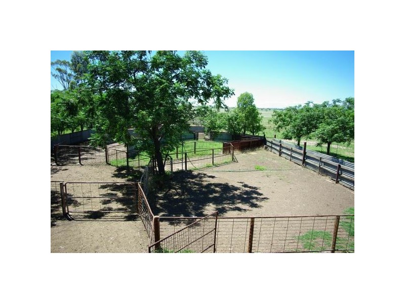 574 Millpulling Road, Balladoran NSW 2831