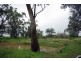 586 Suntop Road, Suntop NSW 2820