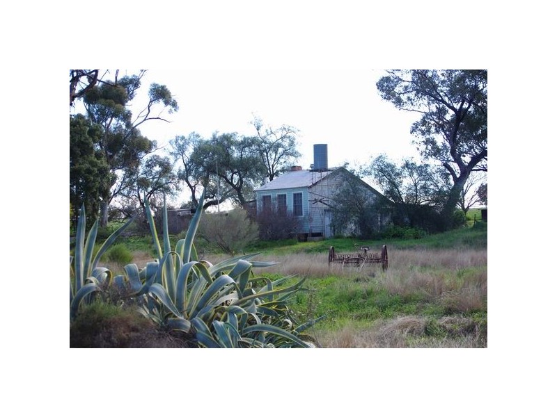 586 Suntop Road, Suntop NSW 2820