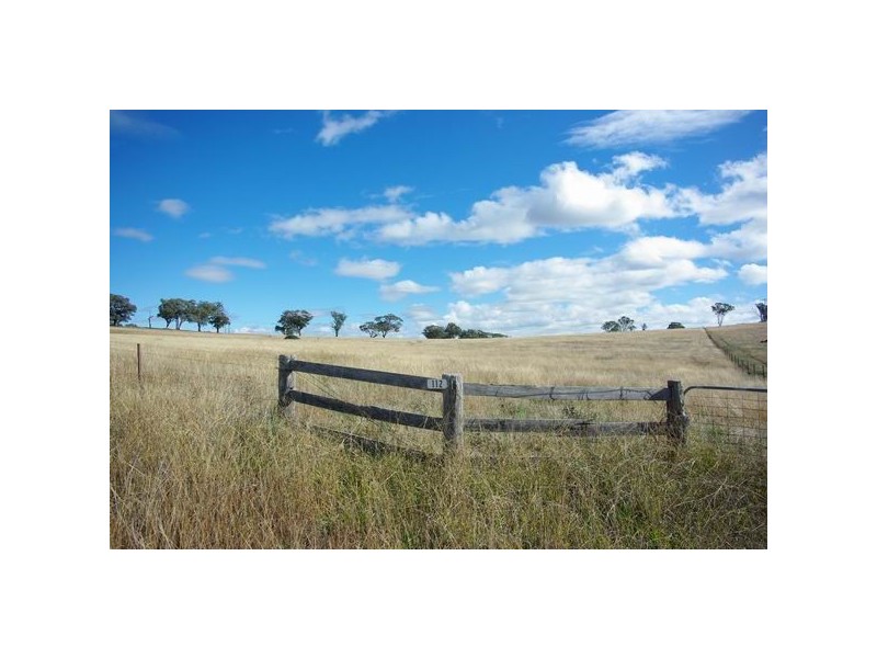 112 Tarrawingee Road, Mumbil NSW 2820