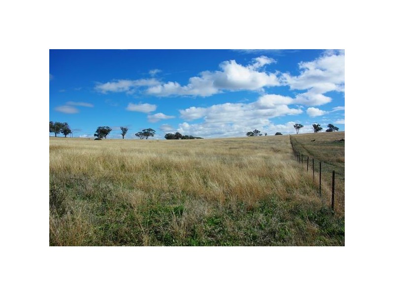 112 Tarrawingee Road, Mumbil NSW 2820