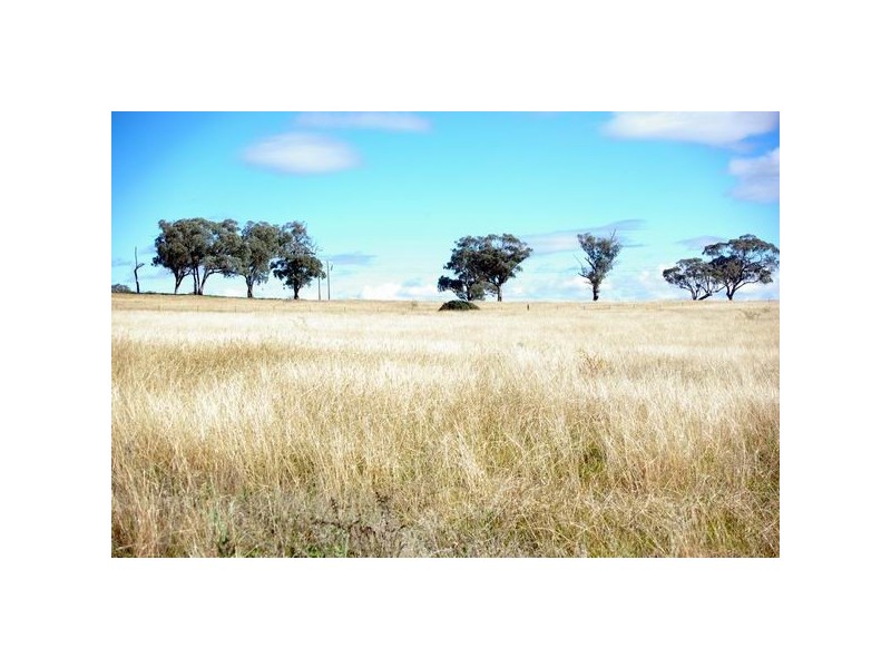 112 Tarrawingee Road, Mumbil NSW 2820