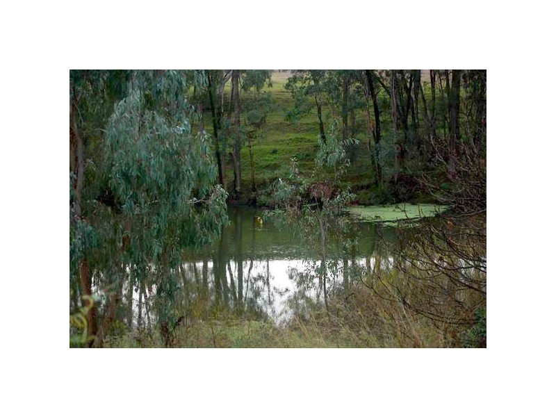 90 Gobolion Street, Wellington NSW 2820