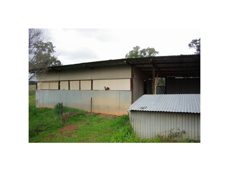 8460 Mitchell Highway, Neurea NSW 2820