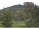129 Bushrangers Creek Road, Wellington NSW 2820