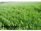 Tooraweenah NSW 2831