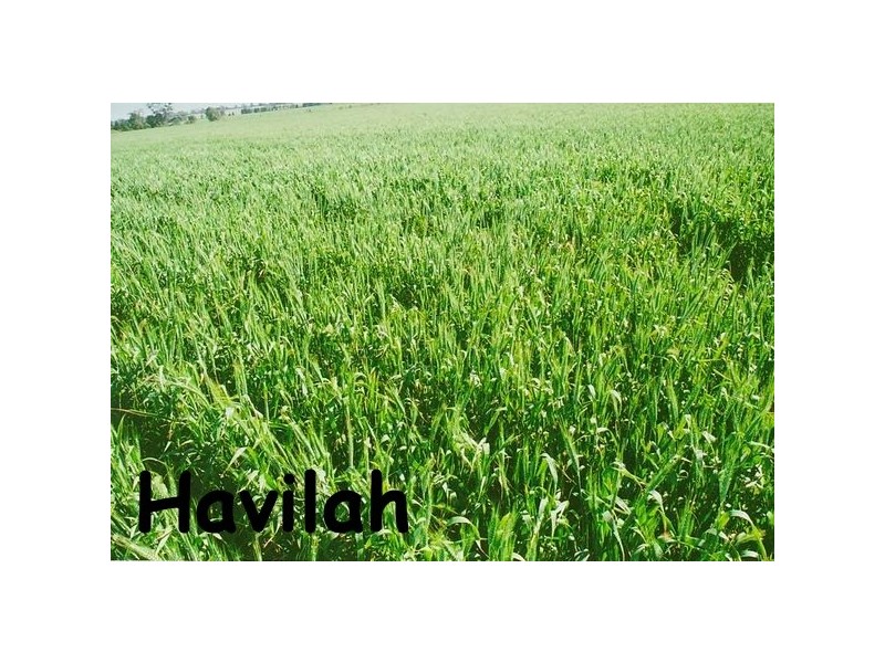 Tooraweenah NSW 2831