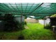 88 Arthur Street, Wellington NSW 2820