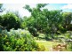 110 Maxwell Street, Wellington NSW 2820