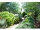 110 Maxwell Street, Wellington NSW 2820