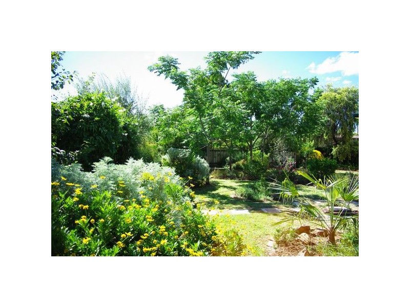 110 Maxwell Street, Wellington NSW 2820
