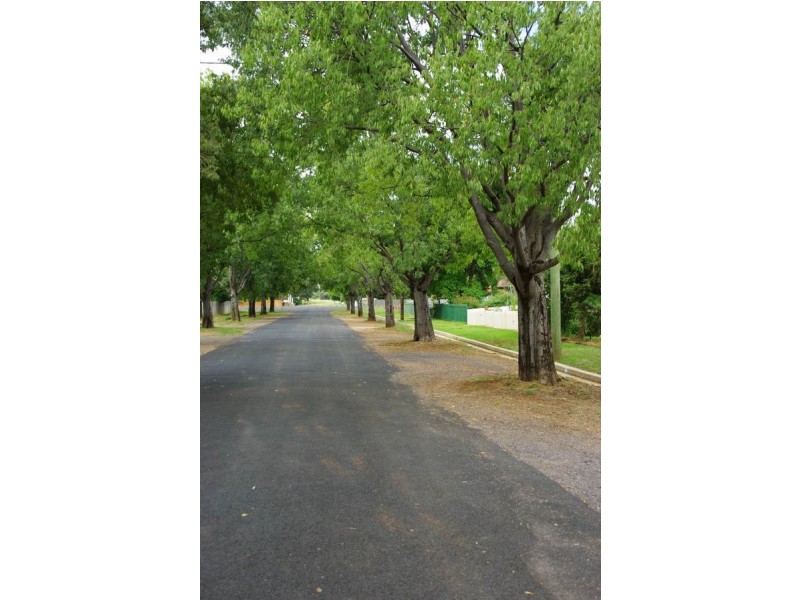 29 Clive Street, Wellington NSW 2820