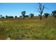 38 Mostyns Lane, Stuart Town NSW 2820