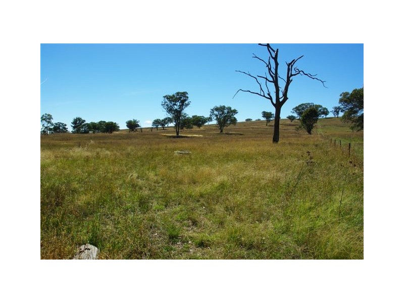 38 Mostyns Lane, Stuart Town NSW 2820