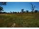 38 Mostyns Lane, Stuart Town NSW 2820