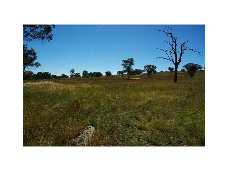 38 Mostyns Lane, Stuart Town NSW 2820