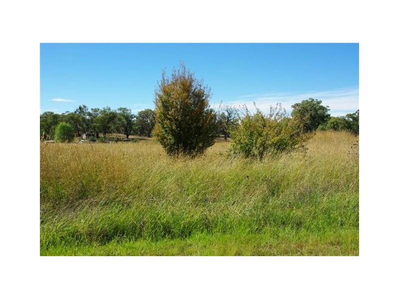 5546 Burrendong way, Farnham NSW 2820