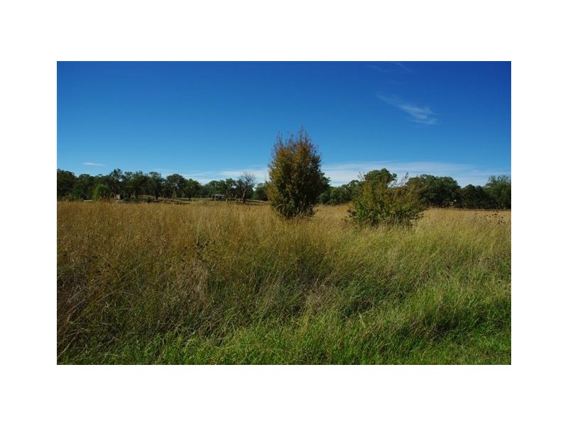 5546 Burrendong way, Farnham NSW 2820