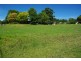 29 Burrandong Road, Mumbil NSW 2820