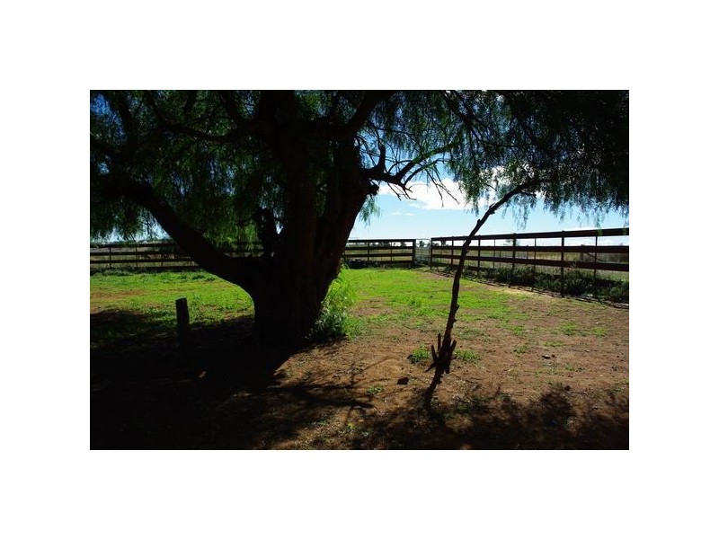 19 Church Street, Bodangora NSW 2820