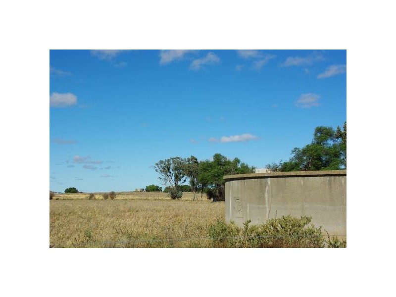 19 Church Street, Bodangora NSW 2820