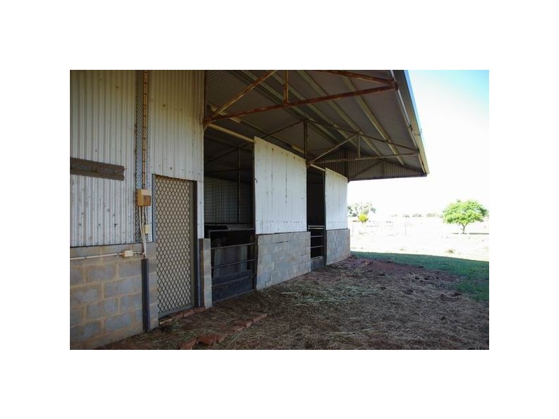 19 Church Street, Wellington NSW 2820