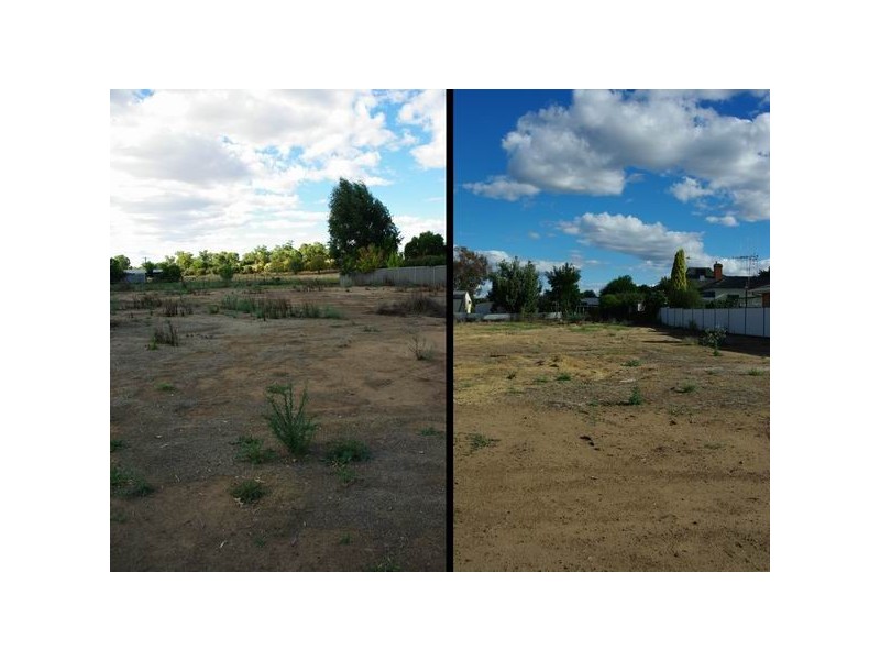 12 Tristania Street, Wellington NSW 2820