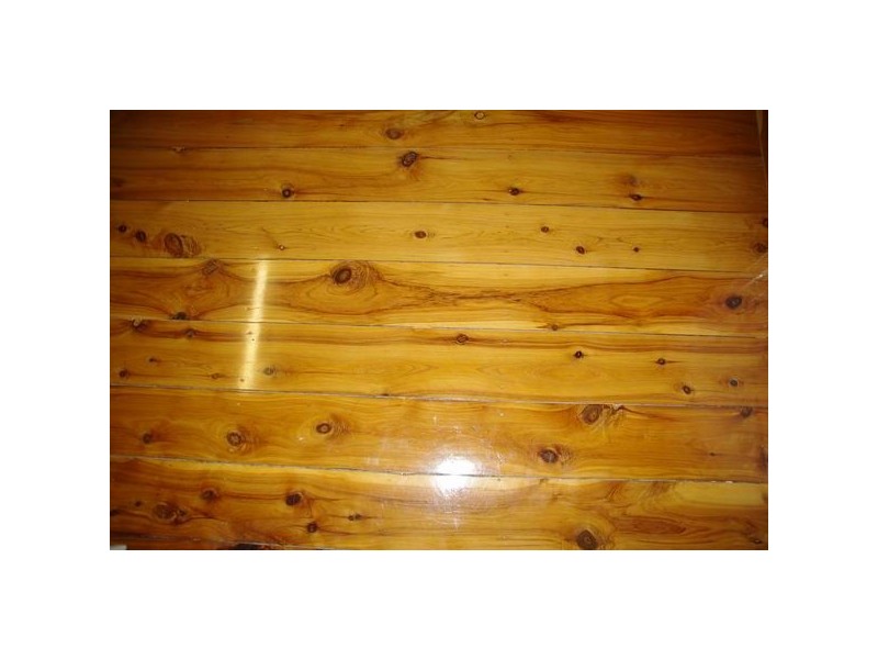 138 Warne Street, Wellington NSW 2820