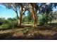 Spicers Creek NSW 2820