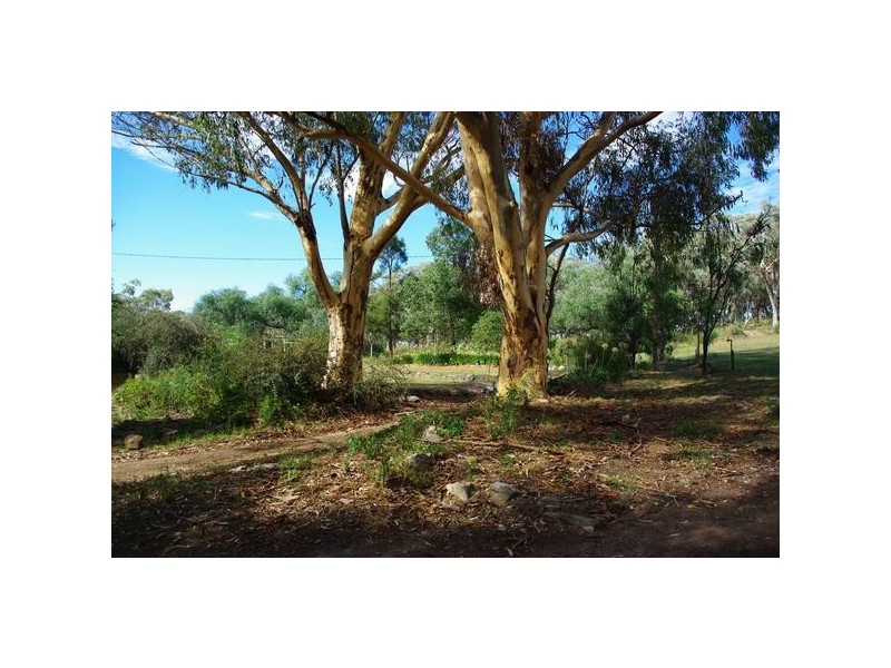 Spicers Creek NSW 2820