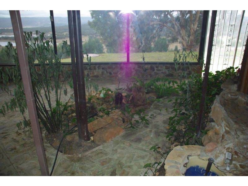 302 Tara Road, Mumbil NSW 2820