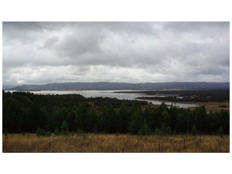 302 Tara Road, Mumbil NSW 2820