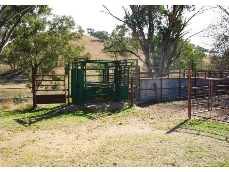 ‘Woodside’ Woodside Lane, Wellington NSW 2820