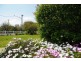 103 Gisborne Street, Wellington NSW 2820