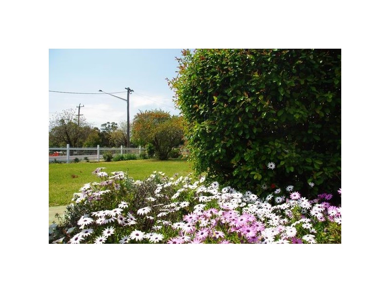 103 Gisborne Street, Wellington NSW 2820