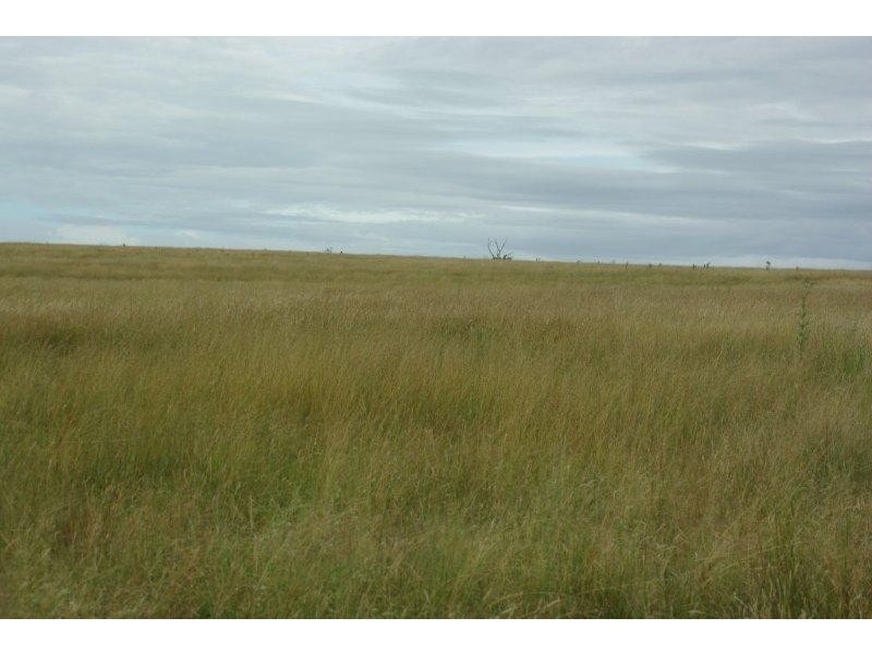 430 Gillinghall Road, Bodangora NSW 2820