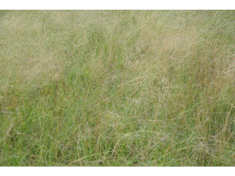 430 Gillinghall Road, Bodangora NSW 2820