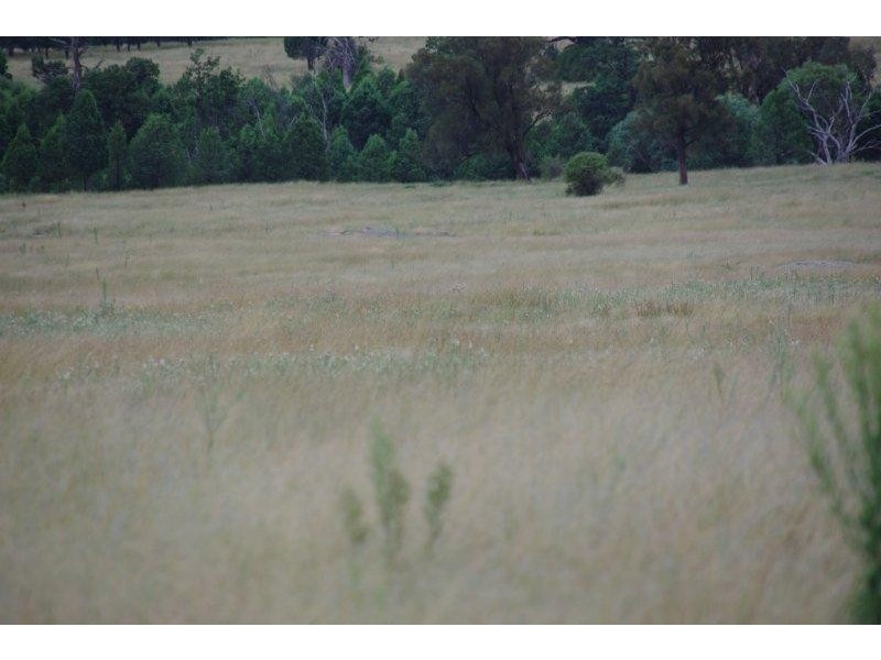 430 Gillinghall Road, Bodangora NSW 2820