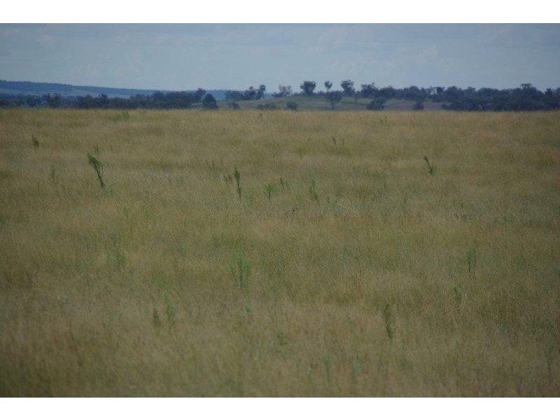 430 Gillinghall Road, Bodangora NSW 2820