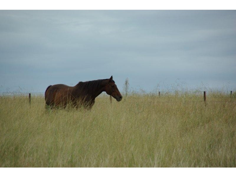 430 Gillinghall Road, Bodangora NSW 2820