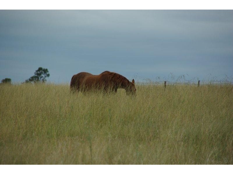 430 Gillinghall Road, Bodangora NSW 2820