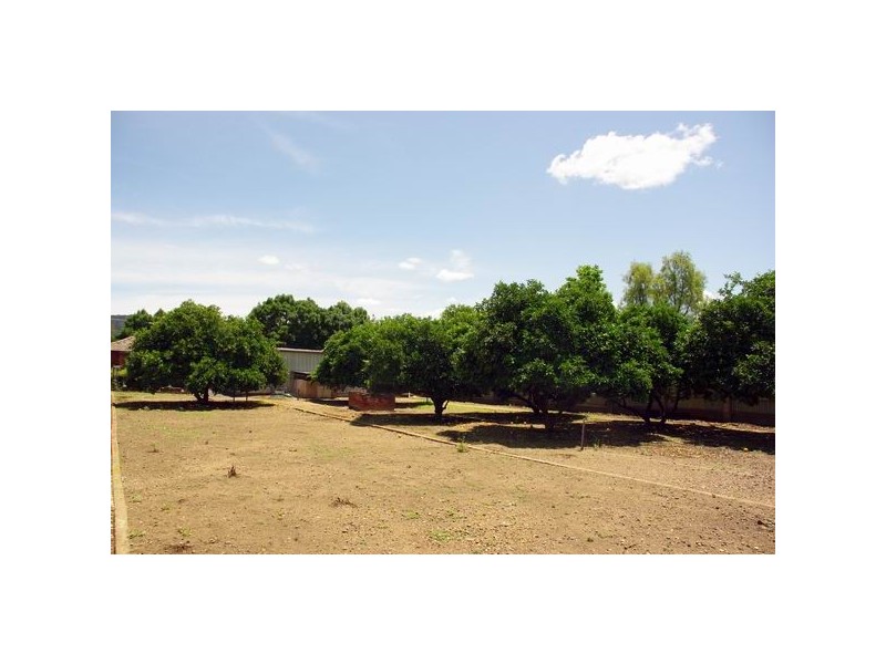 58 Raymond Street, Wellington NSW 2820