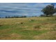 324 Dripstone Road, Neurea NSW 2820