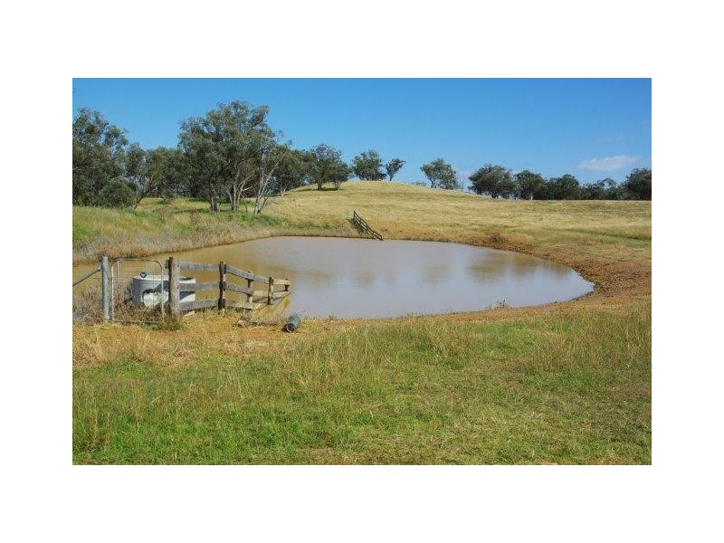 324 Dripstone Road, Neurea NSW 2820