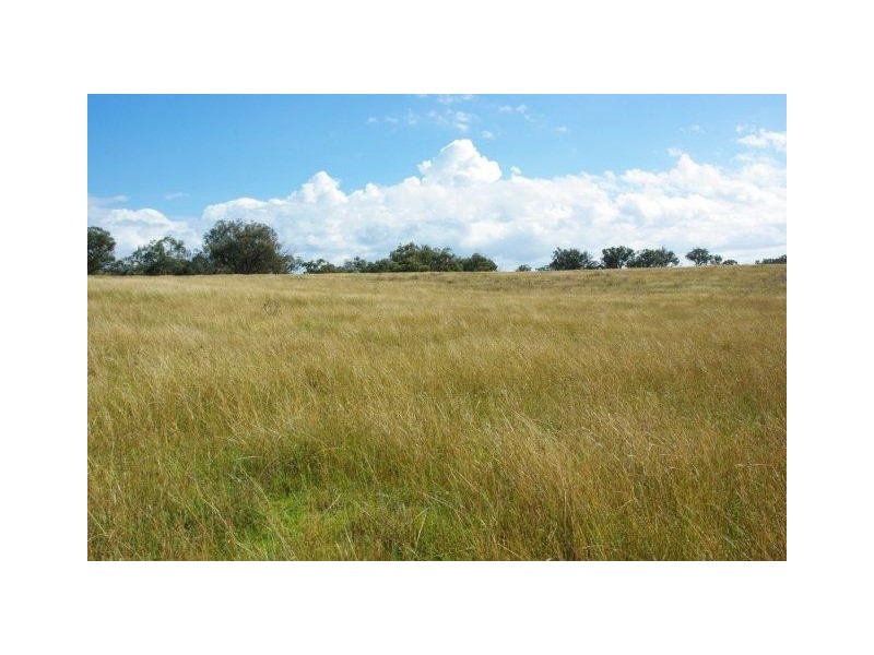 324 Dripstone Road, Neurea NSW 2820