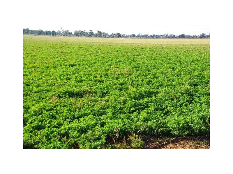 0 Burcher Road, Forbes NSW 2871