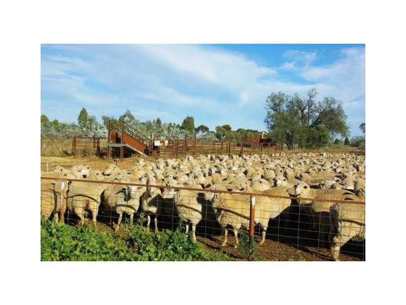 0 Burcher Road, Forbes NSW 2871