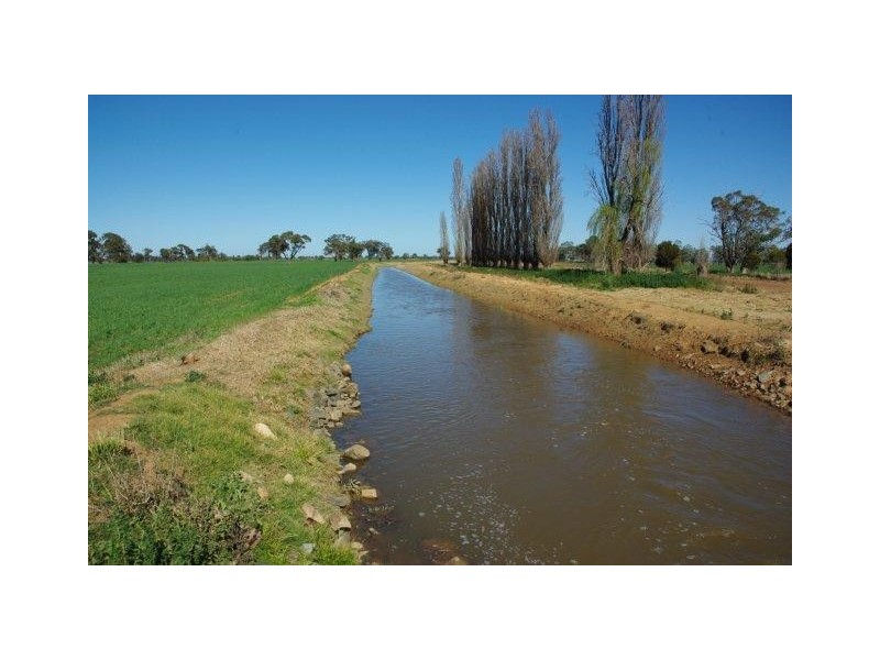 0 Burcher Road, Forbes NSW 2871