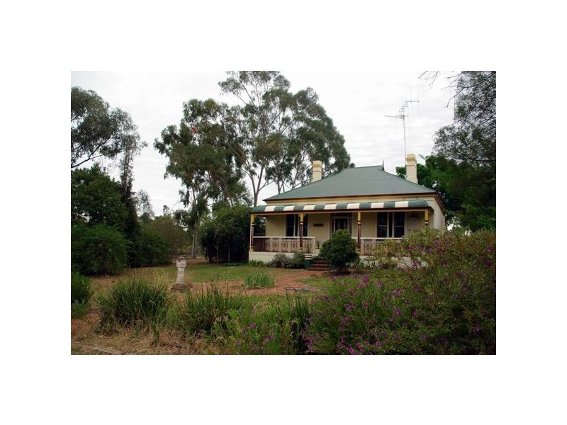 13 Geurie Street, Geurie NSW 2831